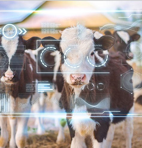 Breeding industry